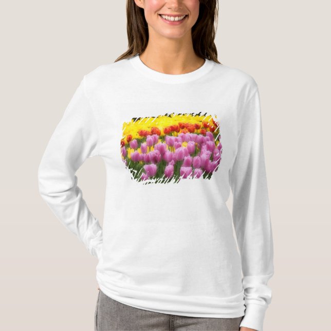 Camiseta WA, Skagit Valley, Roozengarde Tulip Garden, 2 (Anverso)