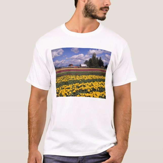 Camiseta WA, Skagit Valley, Skagit Valley Tulip (Anverso)