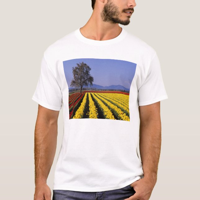 Camiseta WA, Skagit Valley, Skagit Valley Tulip 2 (Anverso)