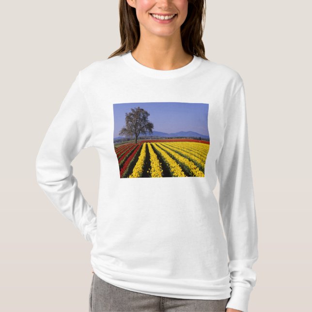 Camiseta WA, Skagit Valley, Skagit Valley Tulip 2 (Anverso)