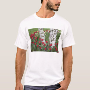 Camiseta WA, Valle de Skagit, Jardín de Tulipanes Roozengaa