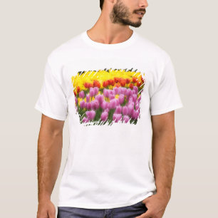 Camiseta WA, Valle de Skagit, Jardín de Tulipanes Roozengaa