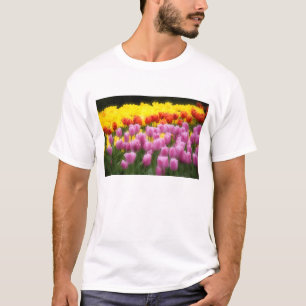 Camiseta WA, Valle de Skagit, Jardín de Tulipanes Roozengaa