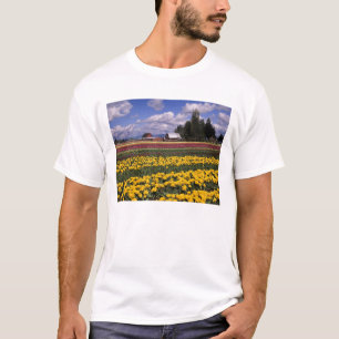 Camiseta WA, Valle de Skagit, Tulipán del Valle de Skagit