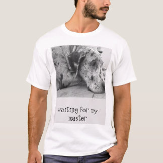 Camiseta waitimg para mi amo