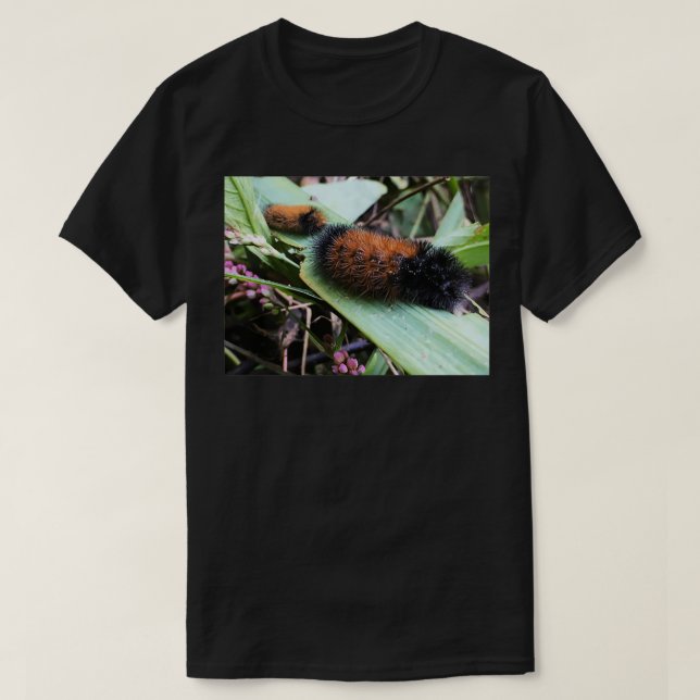 Camiseta Wandering Wooly Bears (Diseño del anverso)