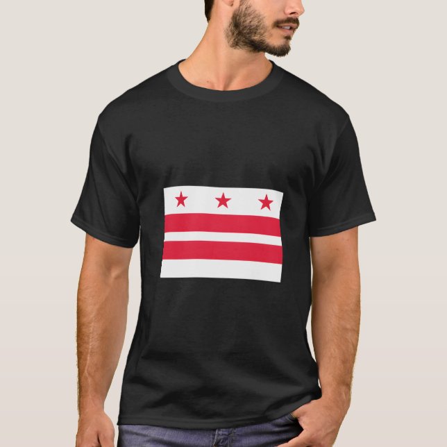 Camiseta Washington Dc Usa (Anverso)