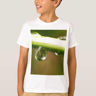 Camiseta water drop on leaves