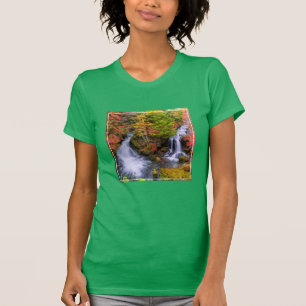 Camiseta Waterfalls   Faucet Waterfalls Nikko Japan Fall