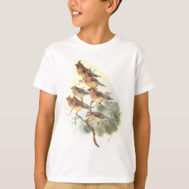 Camiseta waxwing de cedro