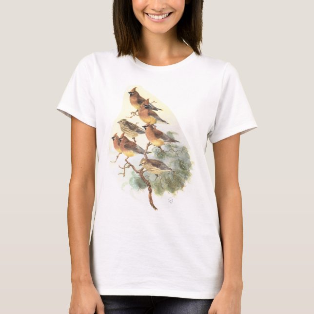 Camiseta waxwing de cedro (Anverso)