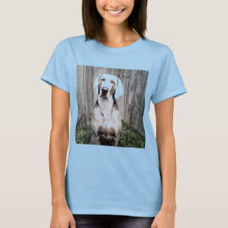 Camiseta Weimaraner