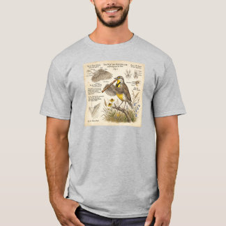 Camiseta Western Meadowlark Playing Flute – Funny Bird 