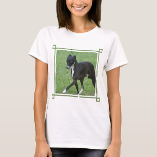 Camiseta Whippet dulce