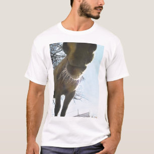 camiseta whiskery de la nariz del caballo