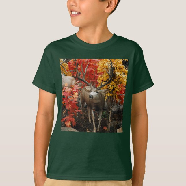 Camiseta Whitetail En Otoño (Anverso)