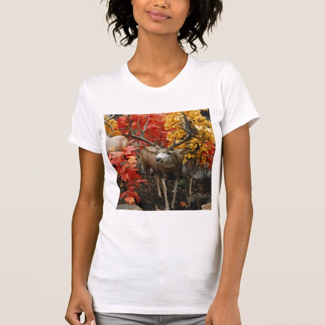 Camiseta Whitetail In Autumn (Anverso)