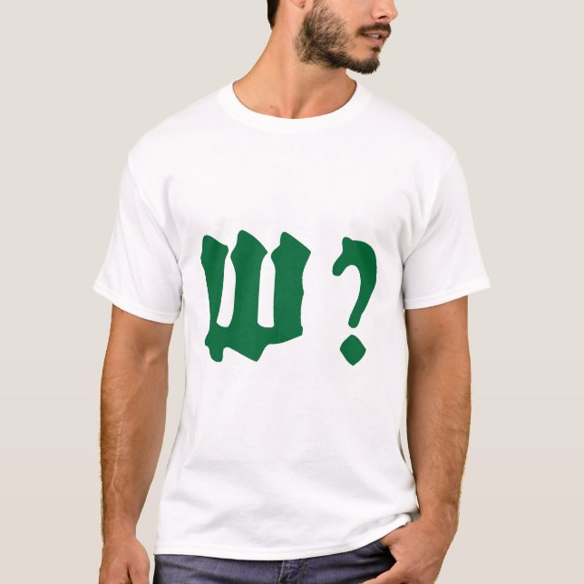 Camiseta why where when who (Anverso)