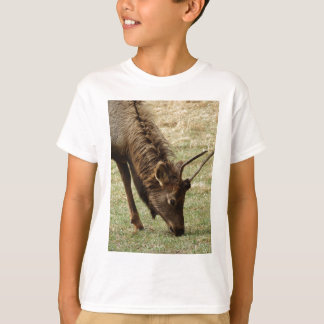 Camiseta Wild Elk