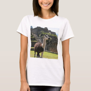 Camiseta Wild Llama Near Ruins