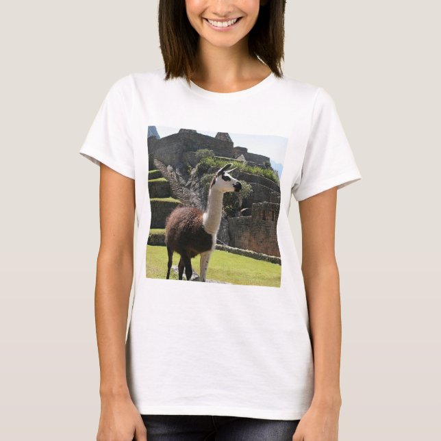 Camiseta Wild Llama Near Ruins (Anverso)