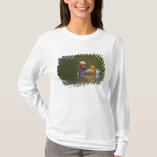 Camiseta Wild Mandarin Duck Aix galericulata) sobre la oscu