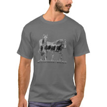 Wild Mustangs Forever