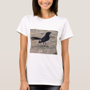 CAMISETA WILLY WAIGTAIL EN UNA CERCA RUARAL AUSTRALIA
