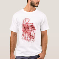 Wireframe de Digitaces del corazón humano