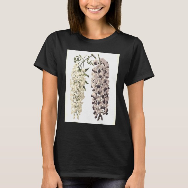 Camiseta Wisteria Sinensis Botánica Aislada En Blanco (Anverso)