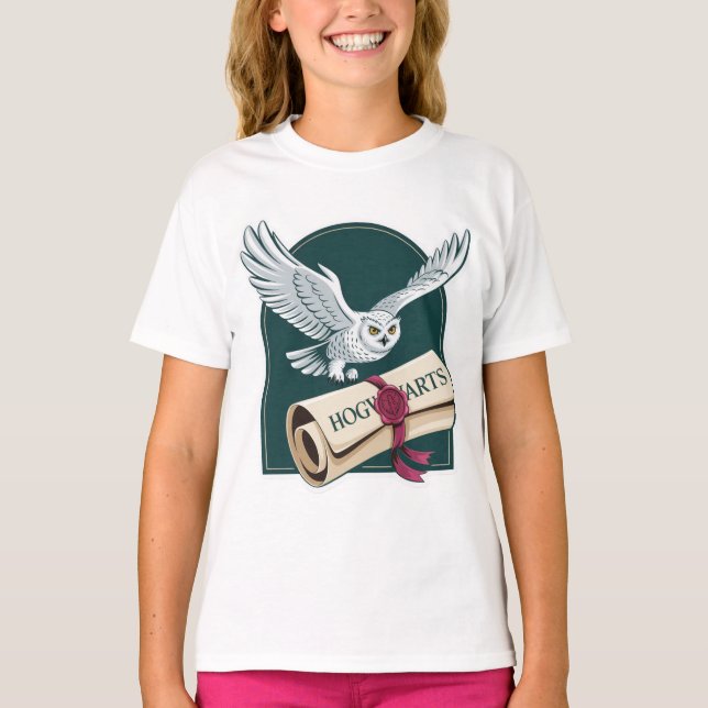 Camiseta Wizard Owl Mail Hogwarts (Anverso)
