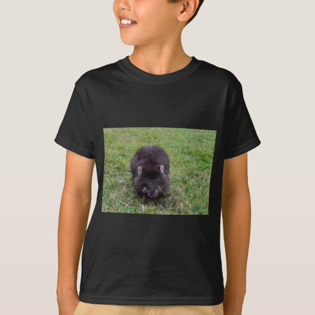 CAMISETA WOMBAT TASMANIA AUSTRALIA (Anverso)