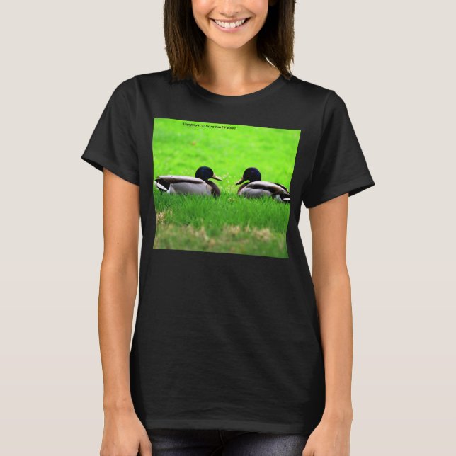 Camiseta Women's ducks t-shirt (Anverso)