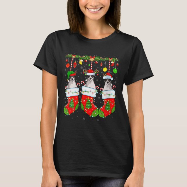 Camiseta Womens Russell Terrier Dog In Christmas Socks Funn (Anverso)