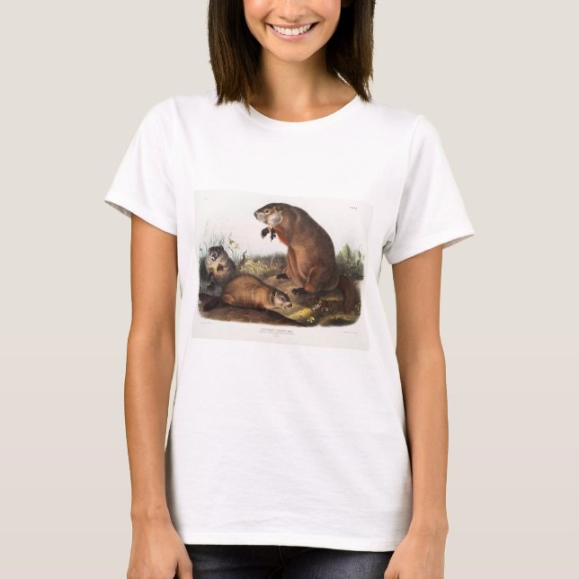 Camiseta Woodchuck Camping Deco Gifts (Anverso)