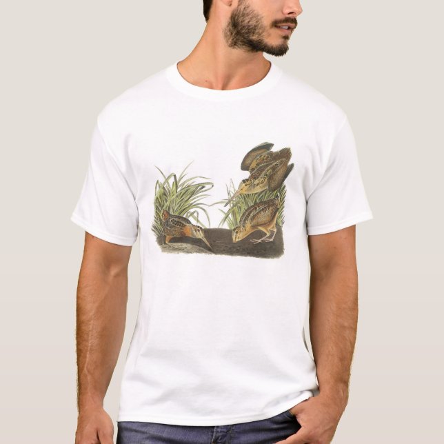 Camiseta Woodcock americano de Audubon (Anverso)