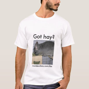 Camiseta Wunderchins consiguió el heno--Hombres