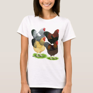 Camiseta Wyandotte:  Surtido del gallo