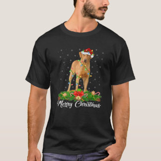 Camiseta Xmas coincidiendo con Santa Hat Chesapeake Bay Ret