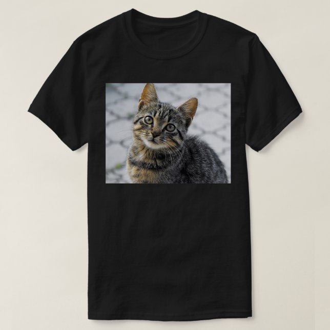 Camiseta Y el encantador Pegatina de gatos (Diseño del anverso)