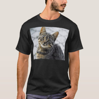 Camiseta Y el encantador Pegatina de gatos