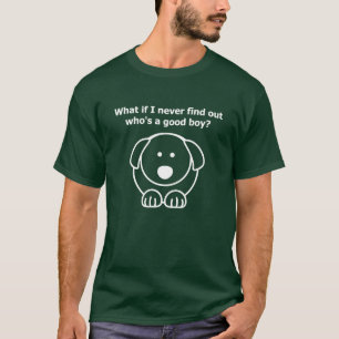 Camiseta ¿Y si nunca descubro quién es un buen chico?