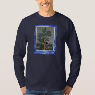 Camiseta Y Un Porcupine En Un Árbol De Pino