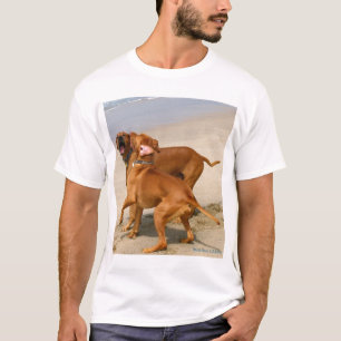 Camiseta ¡Yacs de Yakety!
