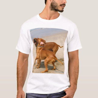 Camiseta ¡Yacs de Yakety!