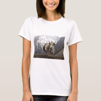Camiseta Yacs en Nepal