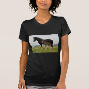 Camiseta yegua y potra del clydesdale