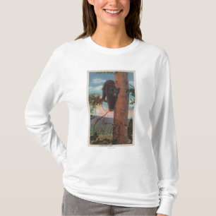Camiseta Yellowstone, WYView del oso negro en árbol