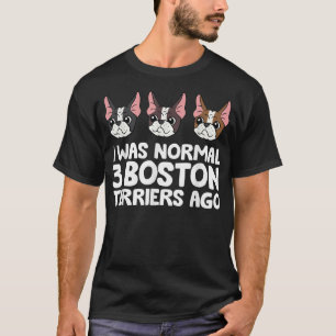 Camiseta Yo Era Normal 3 Territorios De Boston Hace Funny B