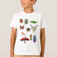 Yo estoy para Invertebrados